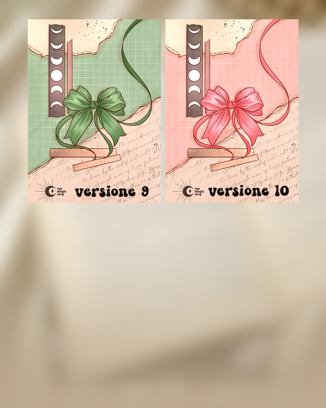 E-reader Insert - Coquette, book aesthetic