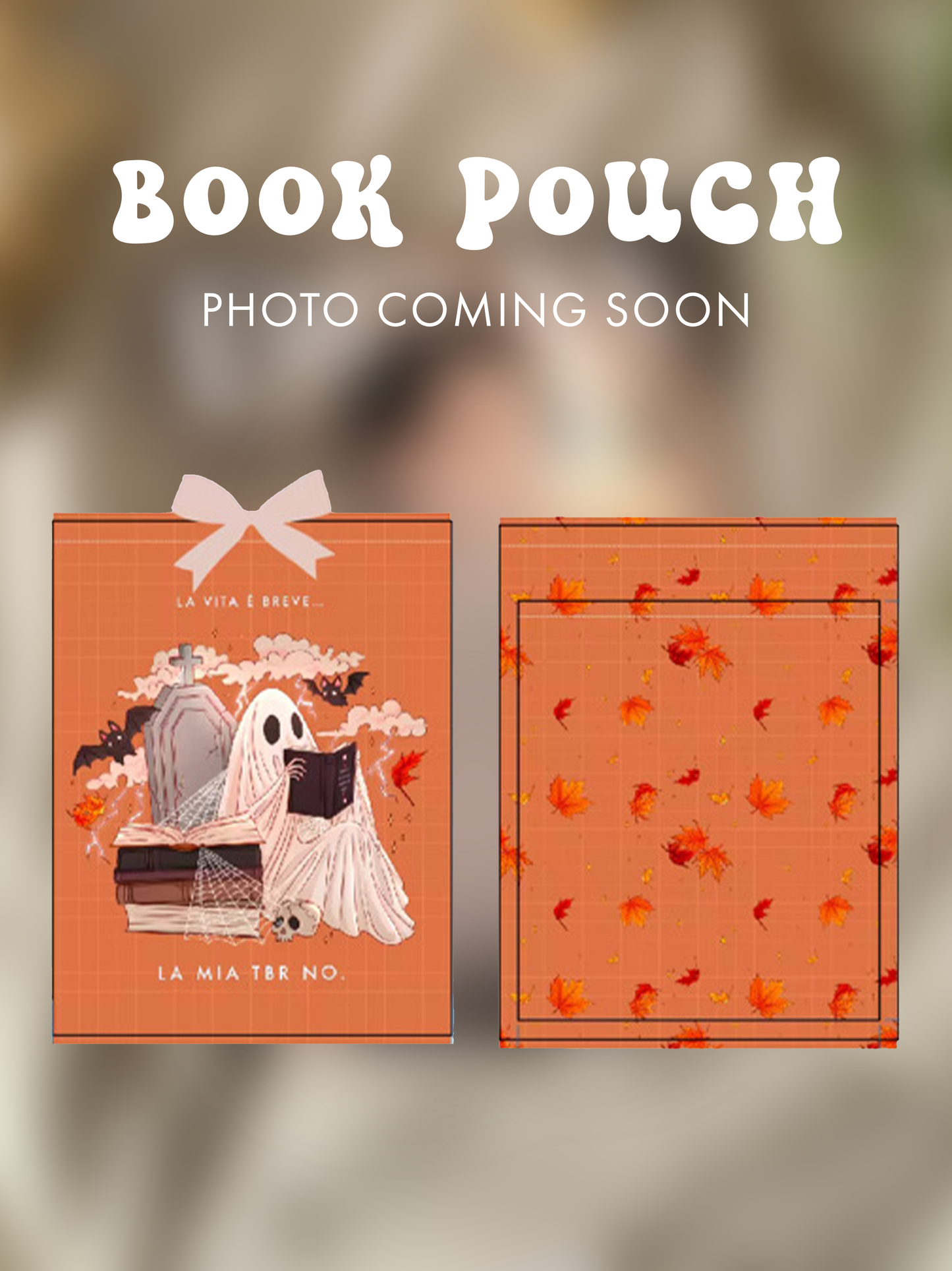 PREORDER - Book and kindle pouch